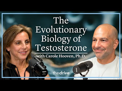 @PeterAttiaMD - "374 - The evolutionary biology of testosterone: male development & sex-based behavioral differences"
