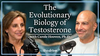 374 - The evolutionary biology of testosterone: male development & sex-based behavioral differences