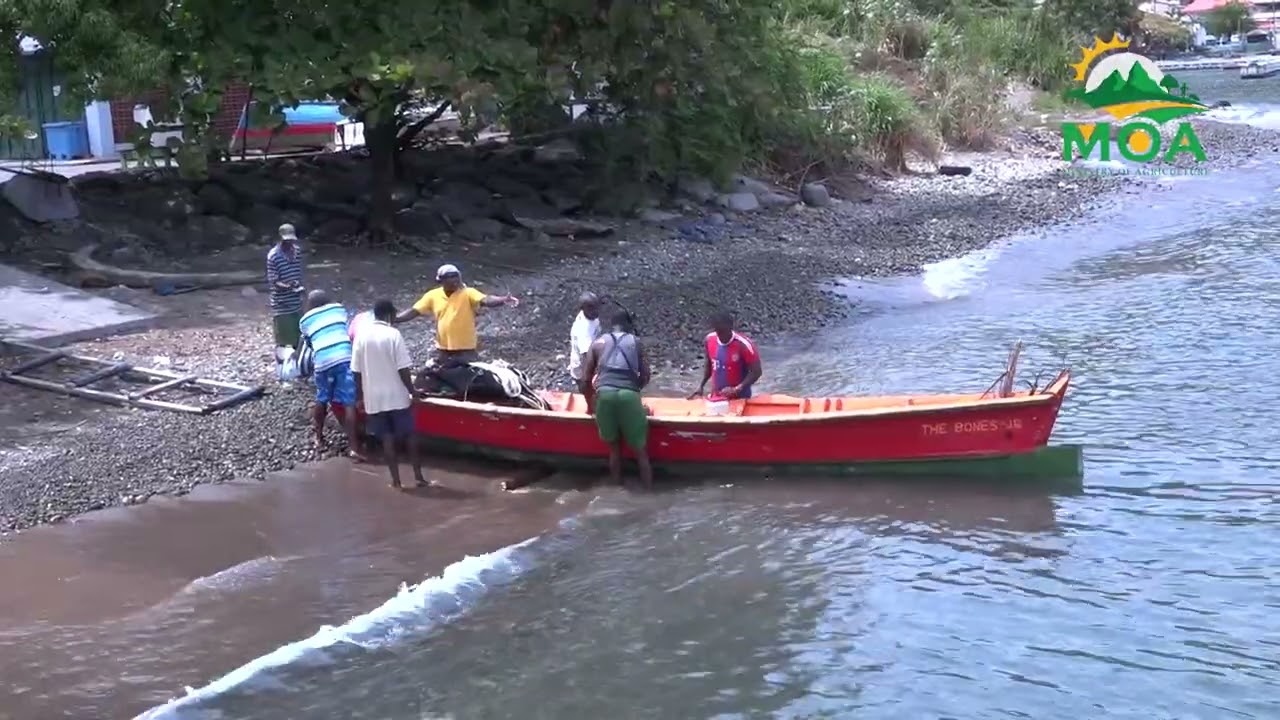 Agriculture and Fisheries Census Pilot Training