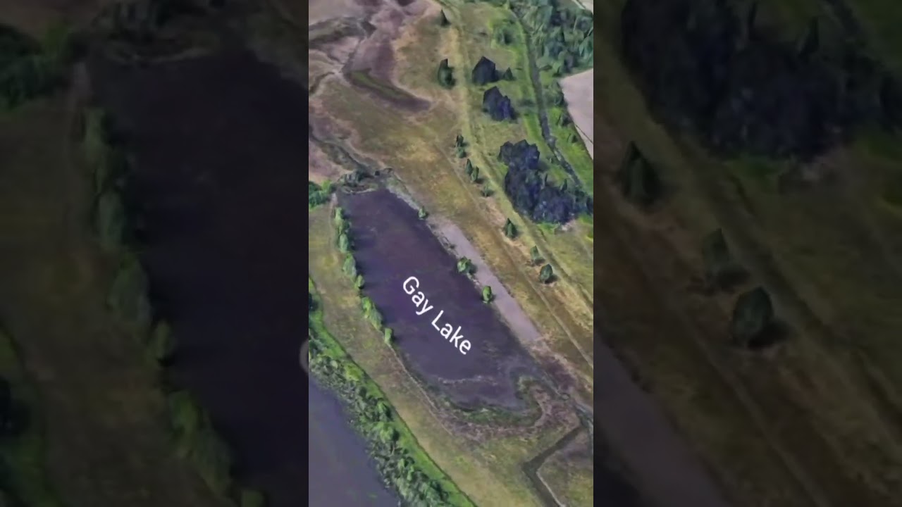 Gay Lake #memes #funny #gaylake #lgbt #brother #dick #humor