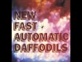 New Fast Automatic Daffodils - It's Not What You Know
