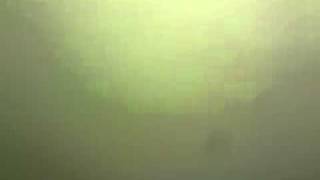 EL GATO (CANCIÓN DE JOAN SEBASTIAN) cantada por CIJU