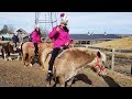 Kids Family Fun Trip To The Farm With Animals And Giant Slides