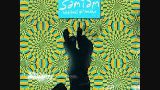 Samiam When We're Together