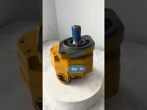 2026 Qingdao Promising Hydraulic Gear Pump Y1018 18L for China Wheel Loader-cover-image