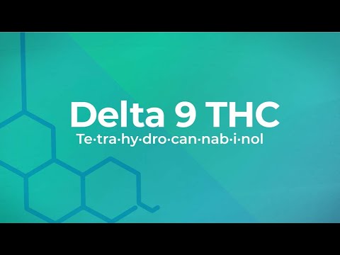What is Delta 9 THC?