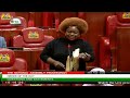ANGRY MPs LECTURE GACHAGUA IN PARLIAMENT AFTER HIS REMARKS IN KISII ON MP ZHAEE