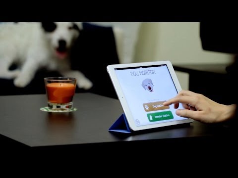Dog Monitor: Puppy video cam video