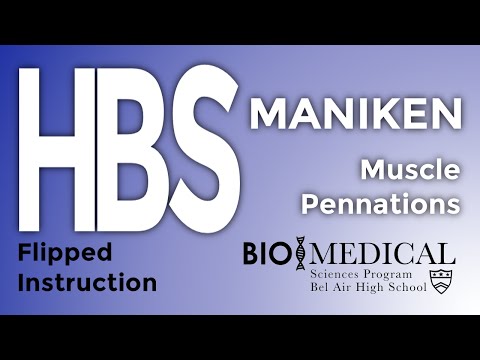 download lagu mp3 mp4 Hbs Bahsbiomed Com, download lagu Hbs Bahsbiomed Com gratis, unduh video klip Download Hbs Bahsbiomed Com Mp3 dan Mp4 Popular Gratis