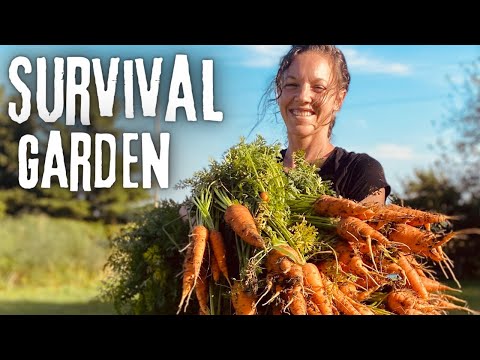 What to GROW in your GARDEN so you can EAT YEAR-ROUND