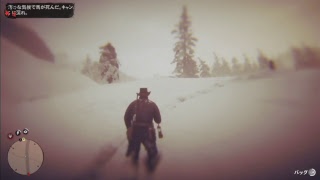 RED DEAD REDEMPTION2