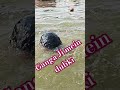 Ganga Ji Mein Dubki