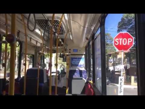 STA Sydney Buses-[Kingsgrove]-Scania K280UB/CC "CB80",2442 ST