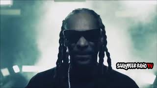 Snoop Dogg &amp; Ice Cube &#39;&#39;All I Need&#39;&#39; ft. Daz Dillinger - Remix (2017) - ShadyBeer Radio TV