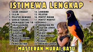 Download lagu 🔴 LENGKAP MASTERAN PANJANG‼️ FULL ISIAN MURAI BATU GACOR mp3 Download lagu 🔴 LENGKAP MASTERAN PANJANG‼️ FULL ISIAN MURAI BATU GACOR mp3