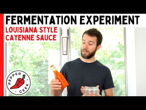 Fermentation Experiment (Cayenne Pepper Sauce) - Pepper Geek
