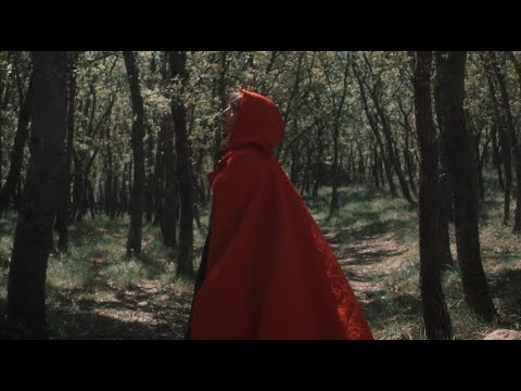 Nikaleo e Ciappy DJ • Toxica