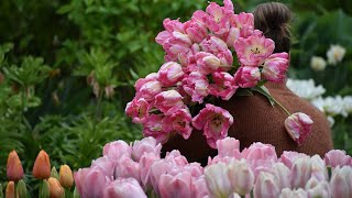 Tips for Planting Tulip Bulbs in Gardens, Raised Beds, Cutting Gardens, and Containers // Northlawn