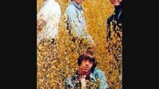 the seeds - the wind blows your hair
