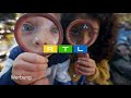 RTL Werbung Ident X Ostern 2022