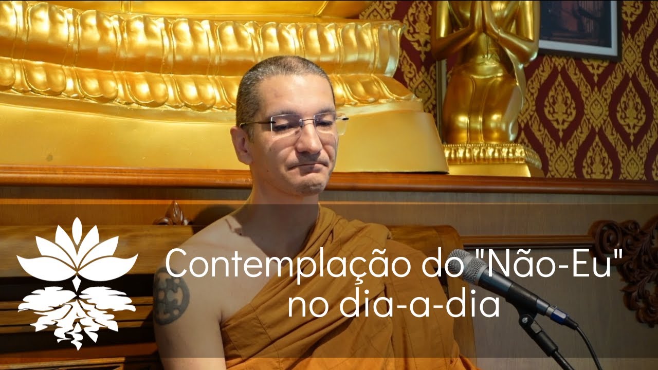 Contemplação do "Não-Eu" no dia-a-dia