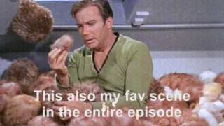 My favourite scene from trouble with tribbles star trek
