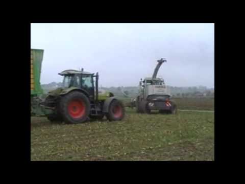 Verbeke: Mais hakselen.