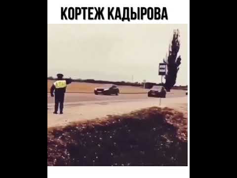 Кортеж Кадырова