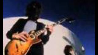 Yves Klein Blue - &#39;Polka&#39;