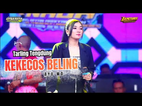 KEKECOS BELING ~ AYU WD // CITRA NADA LIVE DESA CIMOHONG // BULAKAMBA - BREBES