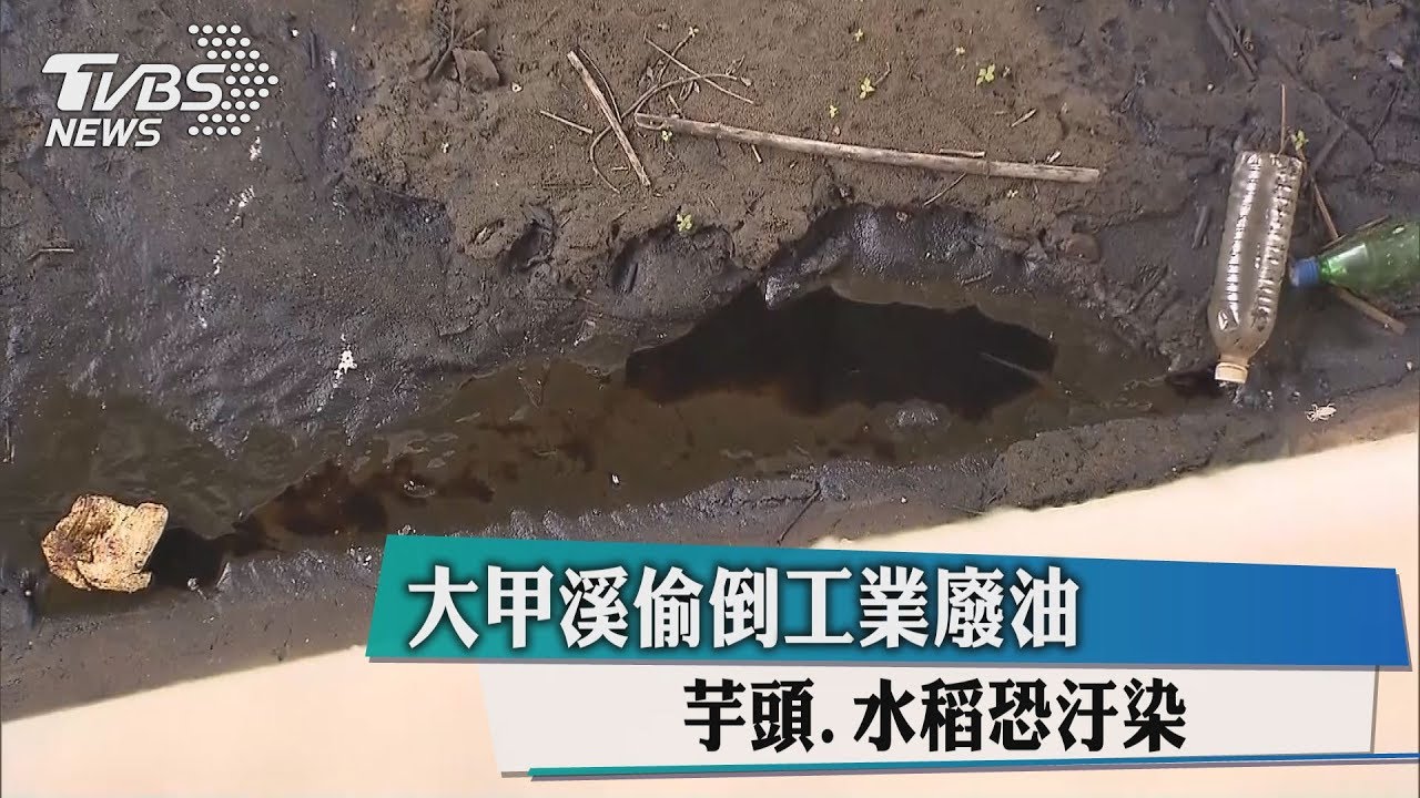 大甲溪偷倒工業廢油 芋頭、水稻恐汙染