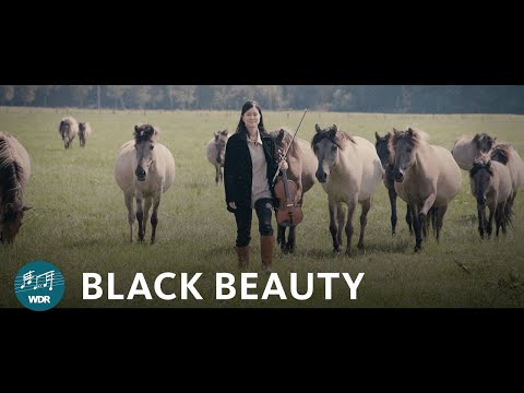 Black Beauty | Wild Horses Dülmen | WDR Funkhausorchester