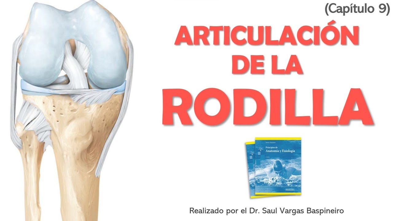 Articulación de la Rodilla - Tortora 15va