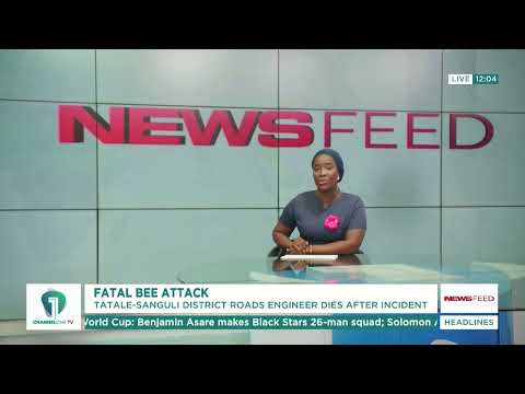 District Roads Engineer Killed in Swarm of Bees Attack in Tatale-Sanguli | News Feed