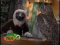 PBS Kids Zoboo Next Teletubbies WNPT