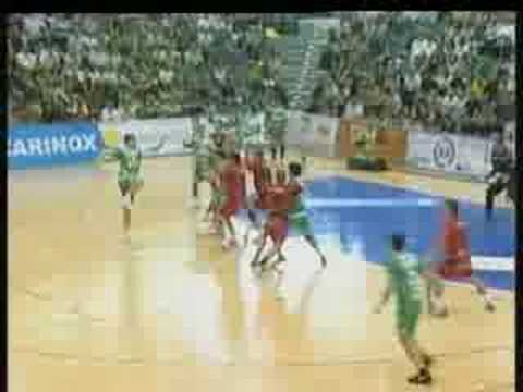 ASOBAL 2008/2009  J. 1 ANT - TRR (21-21)