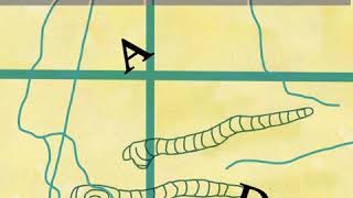 New Brian Eno half-speed master reissues!