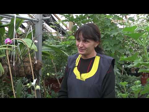 2025 12 04 Во саду и в огороде юбилейная