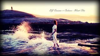 DJ Carisma & Cadence - Want This [New RNB Music 2014]