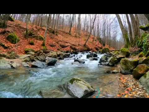 Chabad tunes for babies