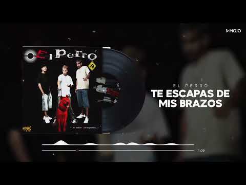 Te Escapas De Mis Brazos - El Perro