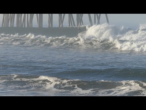 Huntington Beach, CA, 1/172021 AM - Part 3