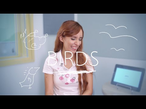Weekly Brazilian Portuguese Words with Jade - Birds