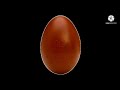 Preview 2 Chocolate Egg Effects 3