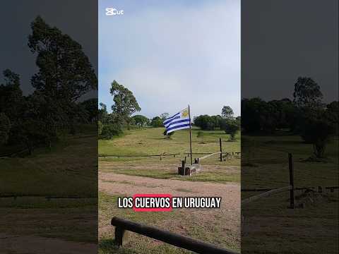 Quebrada de los cuervos treinta y tres #uruguay #uruguaynatural #senderismo #treking #familia #amor