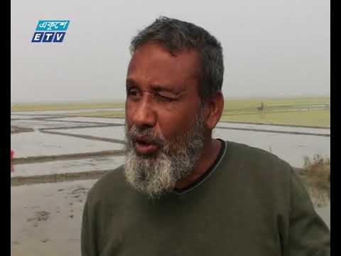 নাটোরে হালতি বিলে জলাবদ্ধতা, সহস্রাধিক একর জমি অনাবাদি