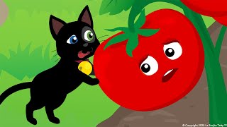 A aventura de Misifu e legumes grandes da horta. Não precisa ter medo do tomate | A Bruxinha Tatty