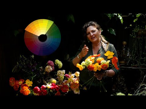 Understanding Colour Theory in Floral Design