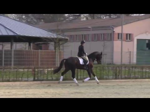 Ben Benicio april 2016