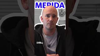 Im Gedenken an Merida🐕 | Patrick Haslwanter